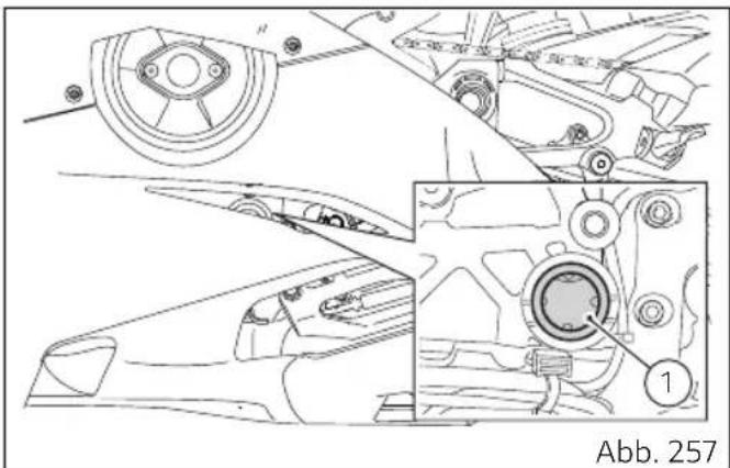 DUCATI Panigale V4 Superleggera V4 (2021) - Wichtig - 1