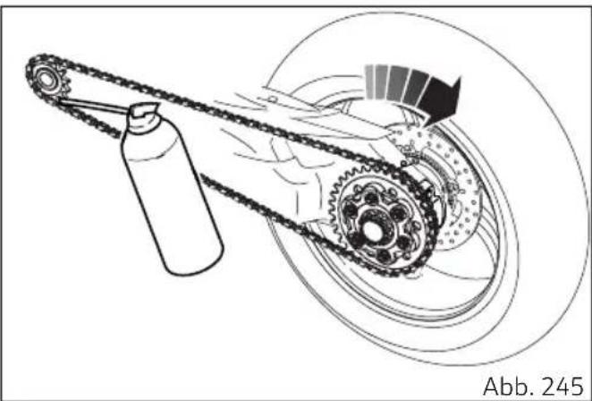 DUCATI Panigale V4 Superleggera V4 (2021) - Achtung - 1