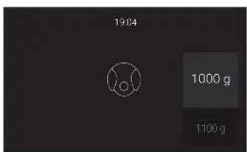 19.04 1000 g 1100 g