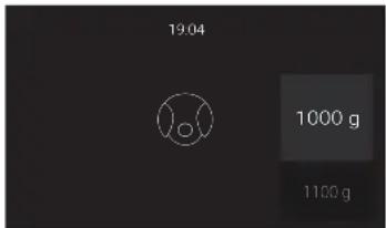 19.04 1000 g 1100 g