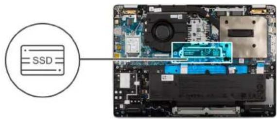 SSD