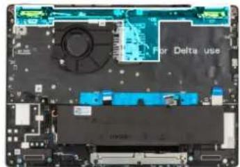 For Delta use