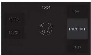 19:04 1000 g 160°C low medium high