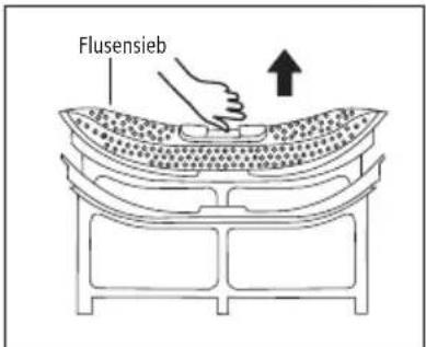 Flusensieb