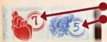 7 5