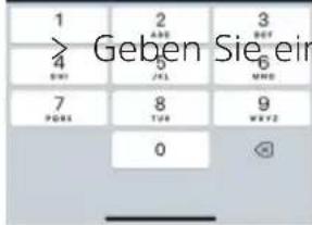 1 2 3 4 5 6 7 8 9 0 Geben Sie ein SHEI JHL MHD PUMS TUE WEXT2