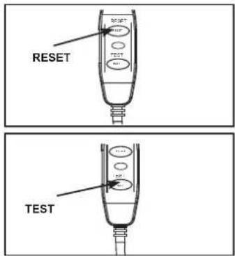 RESET TEST