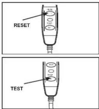 RESET TEST