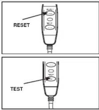 RESET TEST