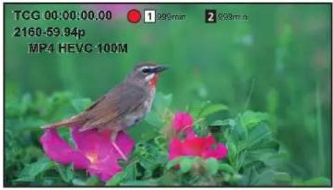 TCG 00:00:00.00 2160-59.94p MP4 HEVC 100M