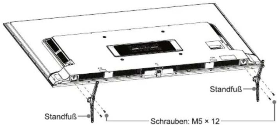 Standfuß Standfuß Schrauben: M5 × 12