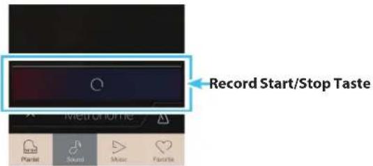 Record Start/Stop Taste Metrorhone Parlet Sound Music Favorite