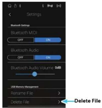 Settings Bluetooth Settings Bluetooth MIDI OFF ON Bluetooth Audio OFF ON Bluetooth Audio Volume 0dB USB Memory Management Rename File > Delete File >