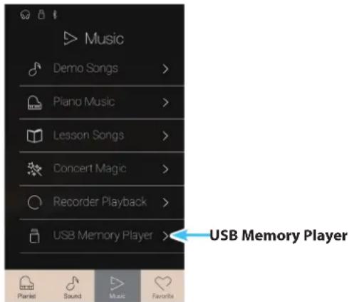 Music Demo Songs > Piano Music > Lesson Songs > Concert Magic > Recorder Playback > USB Memory Player >