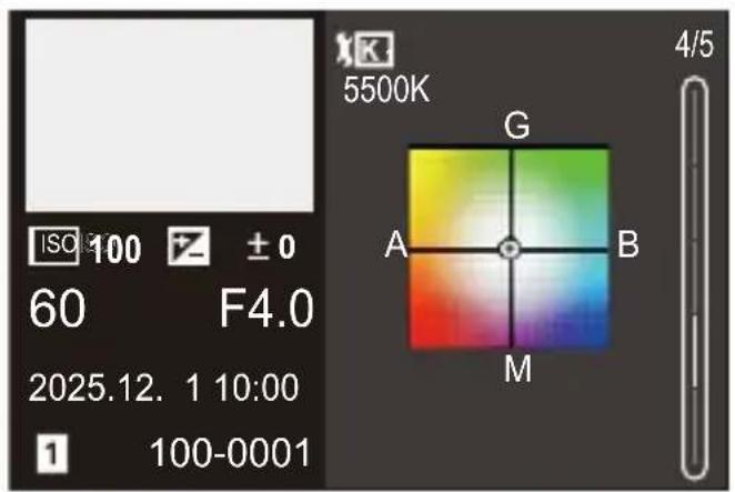 ISO 100 ± 0 60 F4.0 2025.12. 1 10:00 1 100-0001 5500K G A B M 4/5