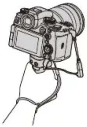 PANASONIC Lumix S1R II - Stativgriff (Sonderzubehör) - 1