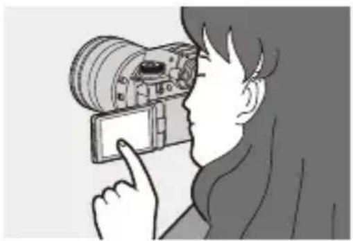 PANASONIC Lumix S1R II - Bewegen Sie die Position des AF-Bereichs. - 1