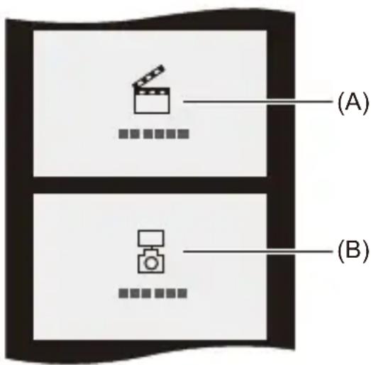 (A) (B)