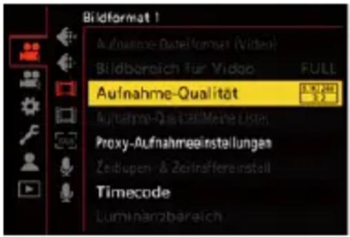 Bildformat 1 Aufnahme-DateFormat (Video) Bildbereich für Vidgo FULL Aufnahme-Qualität Aufnahme-Quival-Meine User Proxy-Aufnahmeginstellungen Zeidupen- & Zeitraffereinstell Timecode Luminanzbereich