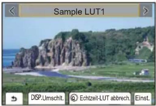 Sample LUT1 DISP.Umschlt. Echtzeit-LUT abbrech. Einst.