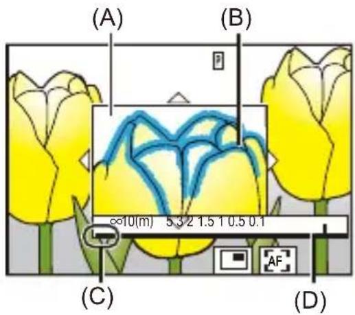 (A) (B) ∞10(m) 5.3/2 1.5 1 0.5 0.1 (C) (D) AF