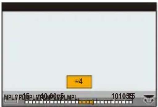 +4 MPLMP100.50 1010355