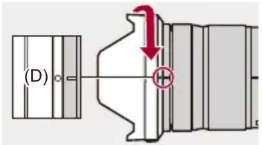 (D)