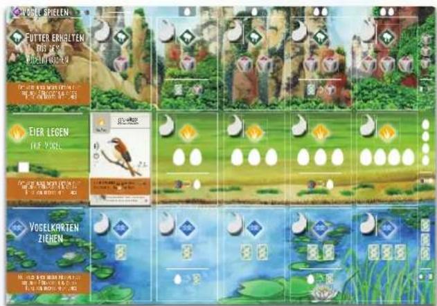 VOSEL SPIELEN FUTTER ENGLISHEN 1. FUS 2015 VOSELKARTEN ZIEHEN EIER LEGEN HIF ZOEL VOSELKARTEN ZIEHEN