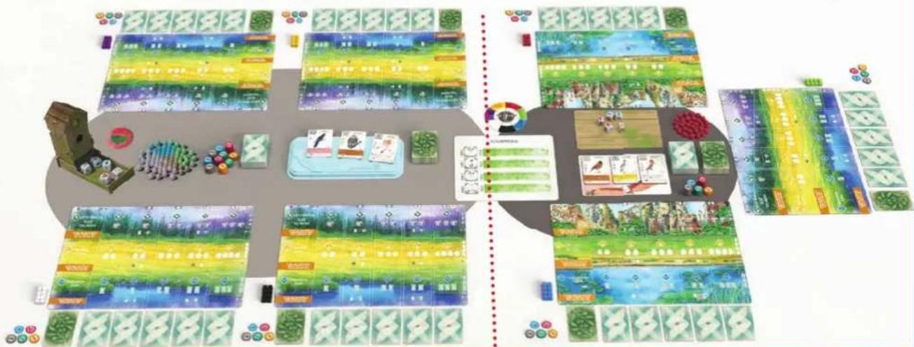 Asmodee Flügelschlag: Asien - ANMERKUNGEN ZU DEN GRUPPEN - 1