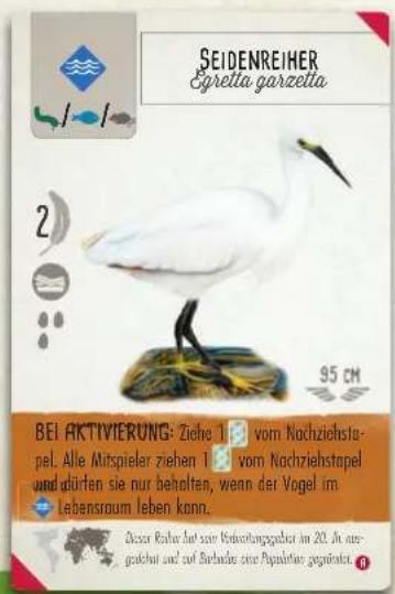 SEIDENREIHER Egretta garzetta 2 95 cm BEI AKTIVIERUNG: Ziehe 1 B vom Nachziehstapel. Alle Mitspieler ziehen 1 B vom Nachziehstapel und dürfen sie nur beholten, wenn der Vogel im Lebensraum leben kann. Dieser Roher auf seine Entwicklungsgesamt im 20. In eine-geschäft und auf Barbacher eine Papalwär gegärter