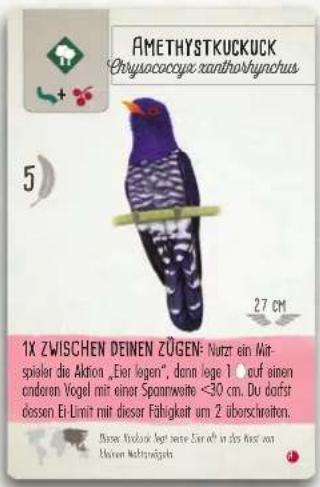 AMETHYSTKUCKUCK Chrysococcya zanthorhynchus 5 27 CM 1X ZWISCHEN DEINEN ZÜGEN: Nutzer ein Matri- spieler die Aktion „Eier legen“, dann lege 1 auf einen endoren Vogel mit einer Spannweite <30 cm. Du dafsfr dessen Ei-Limit mit dieser Fähigkeit um 2 überschreiten. Dieser Kuckuck Jung ante Einheit in des Angen von Märten Mahrstaigels