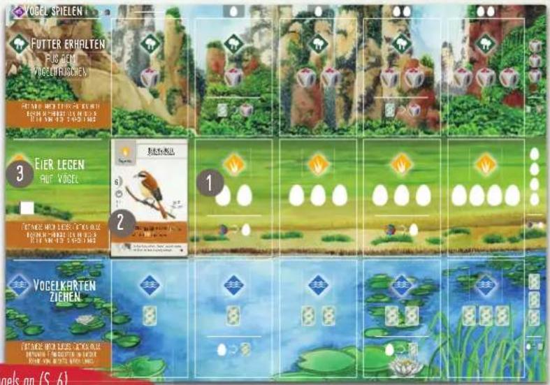 VOGEL SPIELEN FUTTER ERHALTEN FUG DEM VOGELERHÄCHEN 3 EIER LEGEN HUF VÖGEL 1 2 3 4 5 6 7 8 9 10 11 12 13 14 15 16 17 18 19 20 21 22 23 24 25 26 27 28 29 30 31 32 33 34 35 36 37 38 39 40 41 42 43 44 45 46 47 48 49 50 51 52 53 54 55 56 57 58 59 60 61 62 63 64 65 66 67 68 69 70 71 72 73 74 75 76 77 78 79 80 81 82 83 84 85 86 87 88 89 90 91 92 93 94 95 96 97 98 99 100