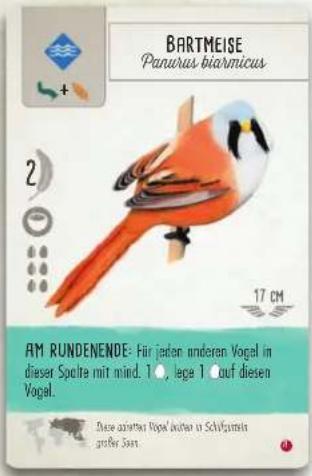 BARTMEISE Panurus biarmicus 2 17 CM AM RUNDENENDE: Für jaden anderen Vogel in dieser Spalte mit mind. 10, lege 1 out diesen Vogal. Diese quarterter Napel Acker in Schifarmis größer Sart.