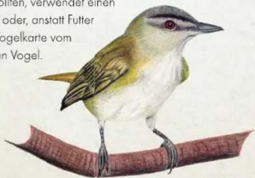 den, verwender einen oder, anstatt Futter ogelkarte vom n Vogel.