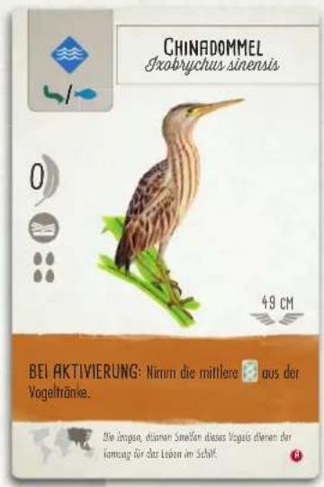 CHINADOMMEL Sarobrychus sinensis 0 49 CM BEI AKTIVIERUNG: Nirmn die mittlere aus der Vogeltränke. Die zogen, diesen Smellen dieses Vogeis diesen der Kanung für das Lesion im Schaff.