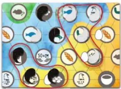 Asmodee Flügelschlag: Asien - OZEANIEN: - 2