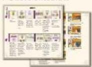 Asmodee Tapestry: Kunst und Architektur - SPIELMATERIAL - 13