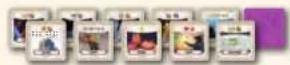 Asmodee Tapestry: Kunst und Architektur - SPIELMATERIAL - 8