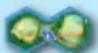 Asmodee Arche Nova: Wasserwelten - SPIELMATERIAL SPIELMATERIAL - 11