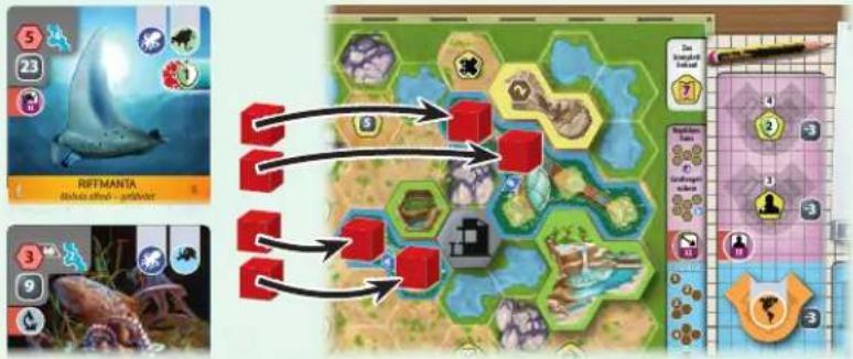 Asmodee Arche Nova: Wasserwelten - Beispiel: Ein Tier in ein Aquarium spielen - 1