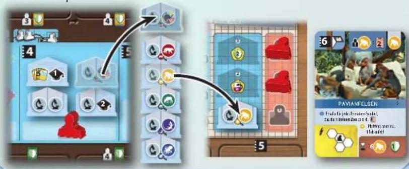Asmodee Arche Nova: Wasserwelten - Beispiel: Eine neue Universität nehmen - 1