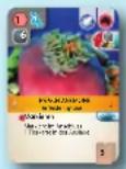 Asmodee Arche Nova: Wasserwelten - SPIELMATERIAL SPIELMATERIAL - 2