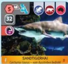 5 32 SANDTIGERHAI Caricharian taurus — some Ausstemben bedrobe