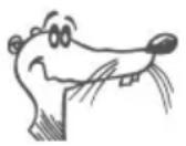 AVM FRITZ!Card PnP - Ins Internet mit FRITZ!web - 1