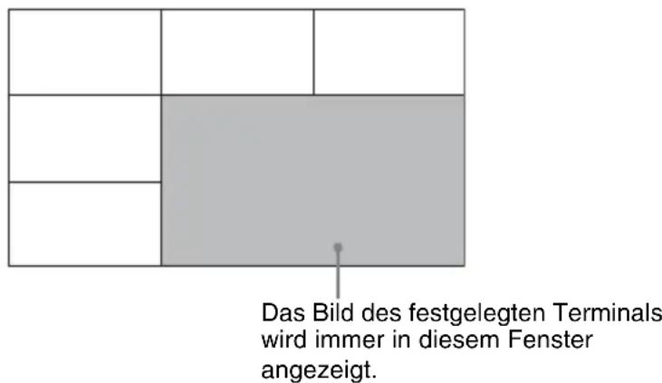 Das Bild des festgelegten Terminals wird immer in diesem Fenster angezeigt.