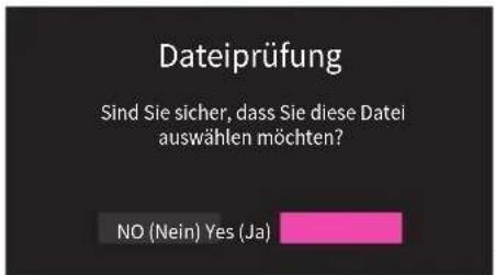 Dateiprüfung Sind Sie sicher, dass Sie diese Datei auswählen möchten? NO (Nein) Yes (Ja)