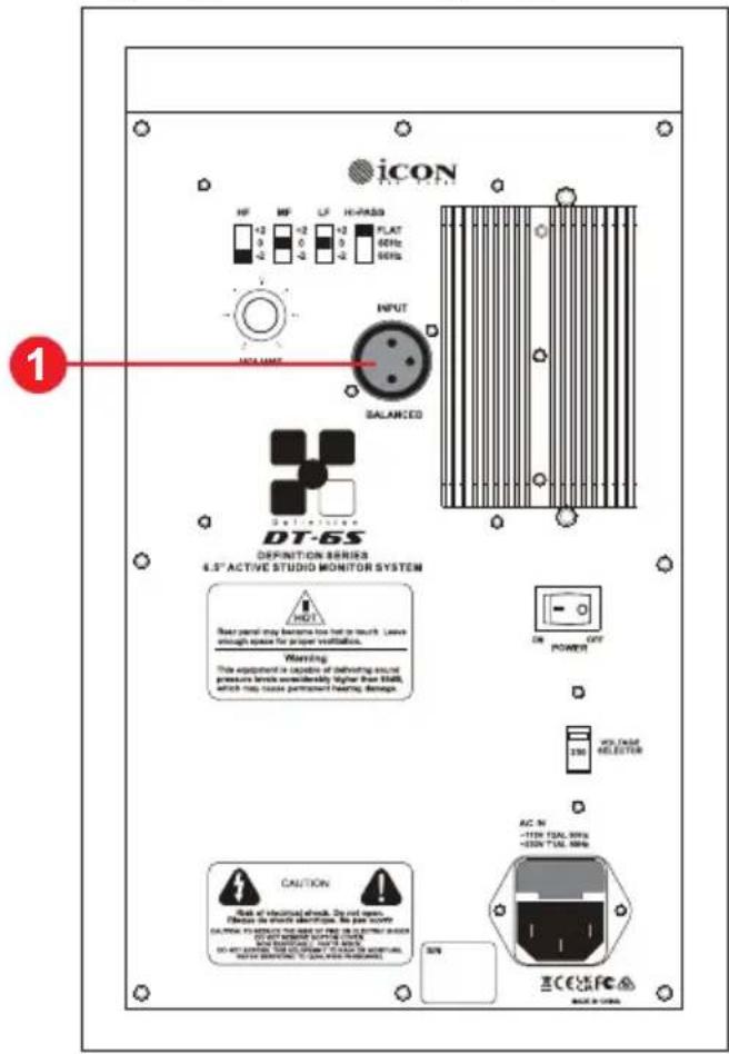 icon DT-8S - Das Rückpanel: Eingänge und Ausgänge - 1