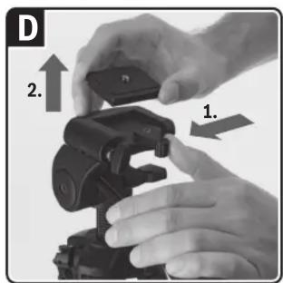 D 2. 1.
