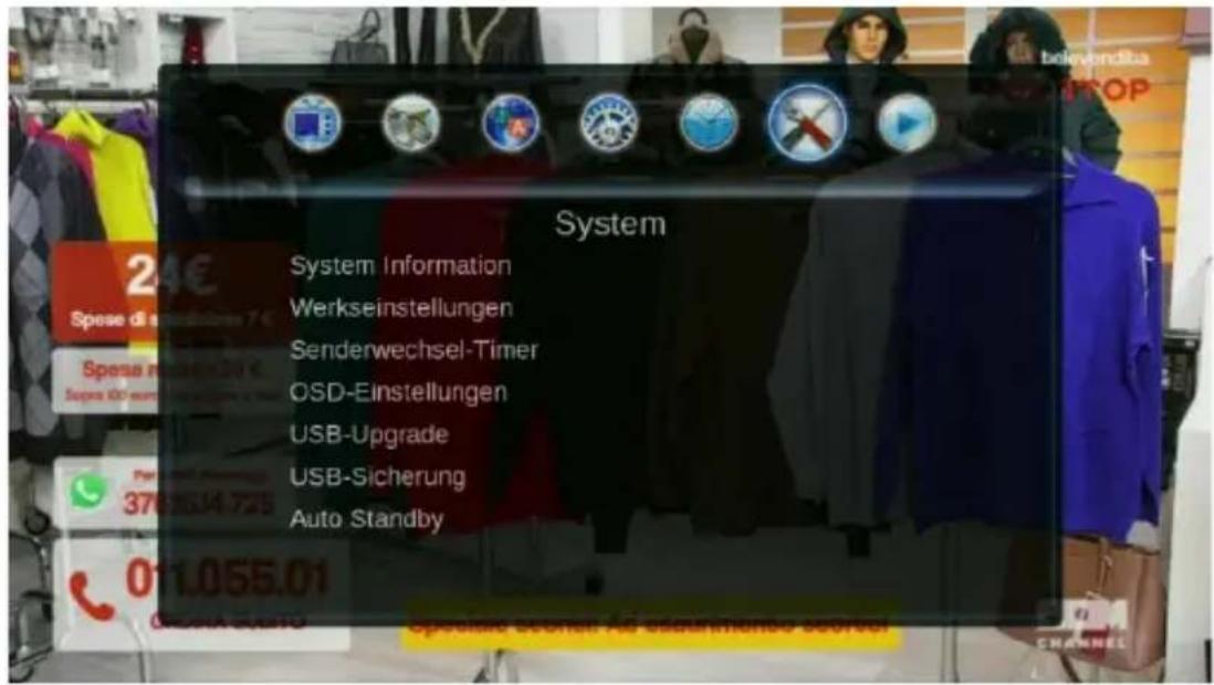 System System Information Werkseinstellungen Senderwechsel-Timer OSD-Einstellungen USB-Upgrade USB-Sicherung Auto Standby