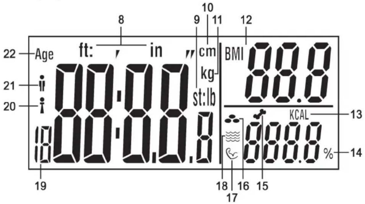 22 Age ft: in cm BMI 88.0 21 i 00:00 kg st:lb KCAL 13 20 i 00:00.8 % 88.0 19 18 17 16 15 14